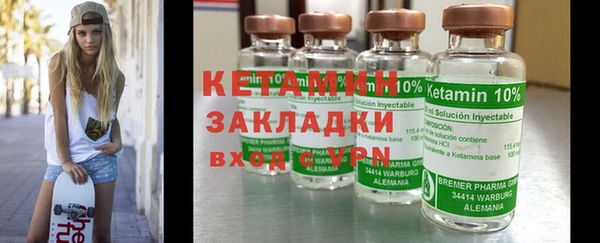 шишки Инта