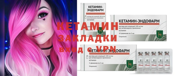 шишки Инта