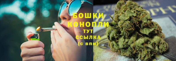 ГАЛЛЮЦИНОГЕННЫЕ ГРИБЫ Иннополис