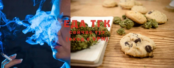 шишки Инта