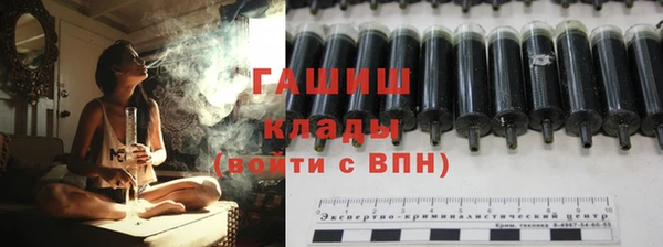 шишки Инта