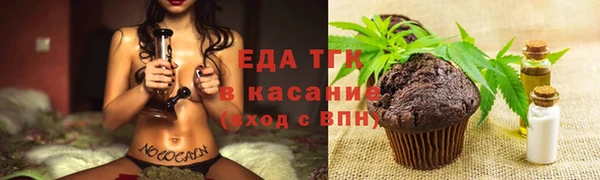 шишки Инта