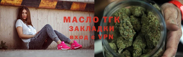 шишки Инта