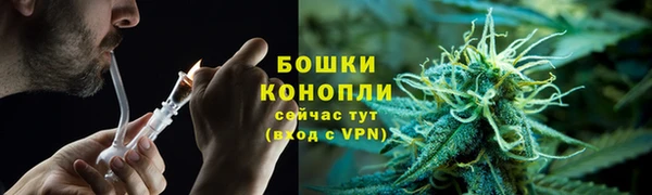 ГАЛЛЮЦИНОГЕННЫЕ ГРИБЫ Иннополис
