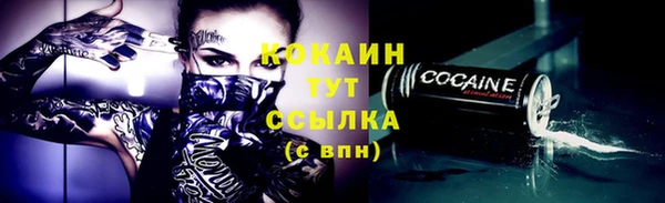 винт Инсар