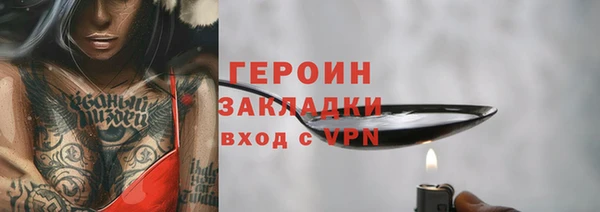 шишки Инта