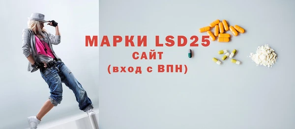 шишки Инта