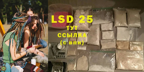 ГАЛЛЮЦИНОГЕННЫЕ ГРИБЫ Иннополис