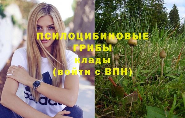 шишки Инта