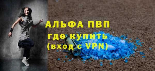 шишки Инта