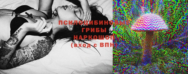 винт Инсар