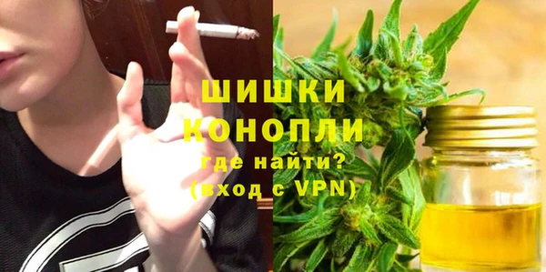 винт Инсар