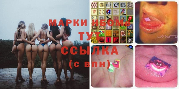 ГАЛЛЮЦИНОГЕННЫЕ ГРИБЫ Иннополис