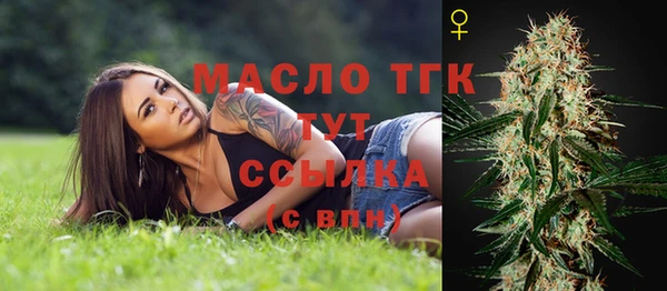 шишки Инта