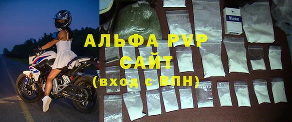 ГАЛЛЮЦИНОГЕННЫЕ ГРИБЫ Иннополис