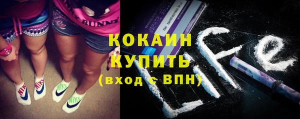 шишки Инта
