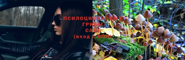 винт Инсар