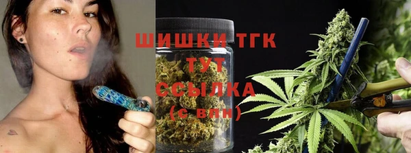 шишки Инта