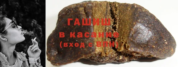 шишки Инта