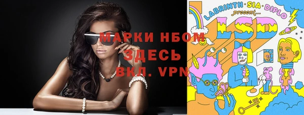 шишки Инта